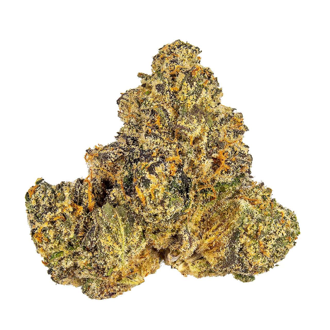 GELATO #41 Cannabis THC Strain. - Top Shelf Botanicals